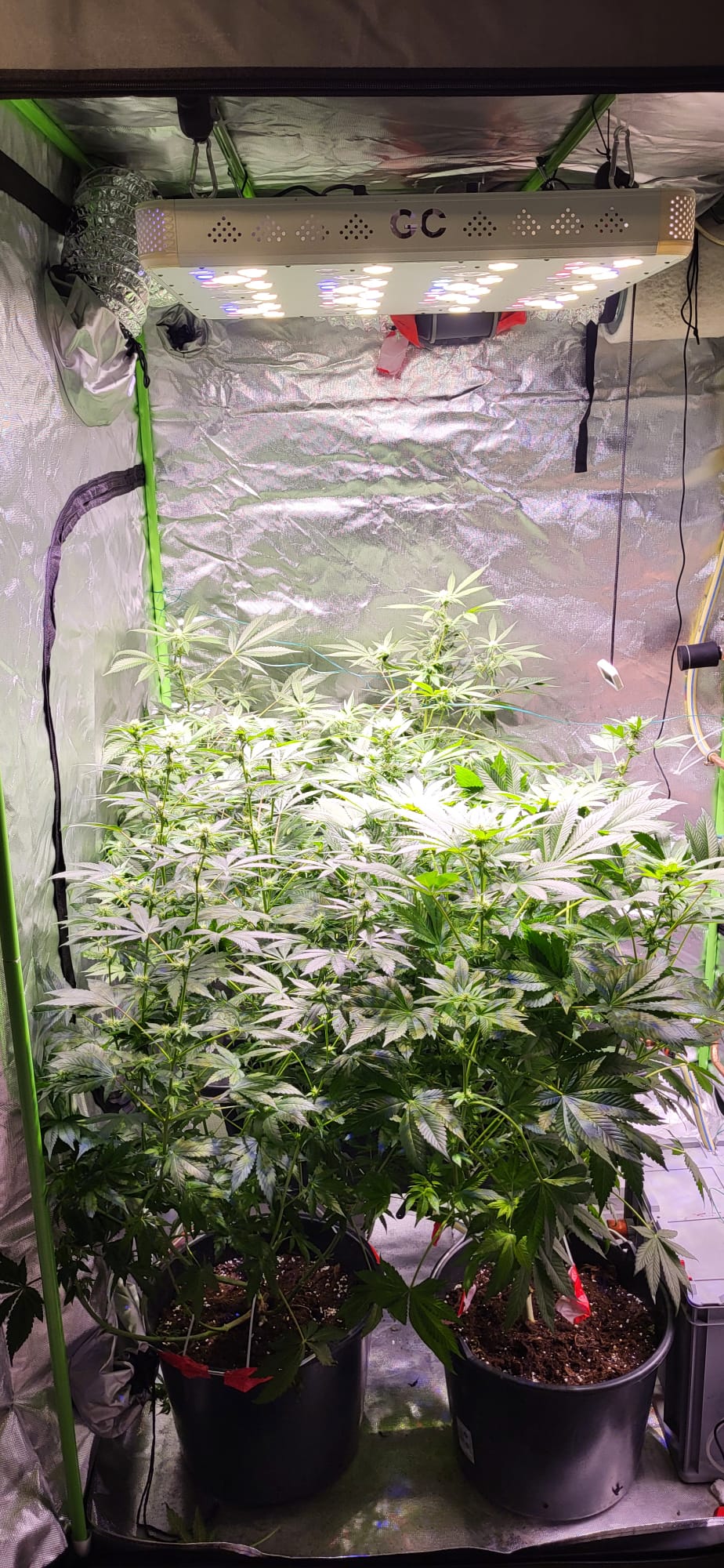 Vorteile einer LED Lampe